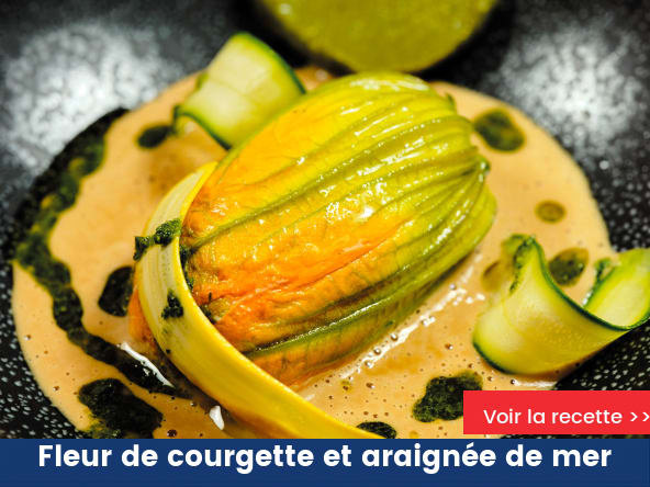 Fleur de courgette et araignée de mer